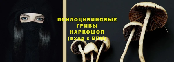 гидра Нефтегорск