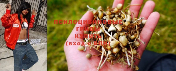 скорость Нея