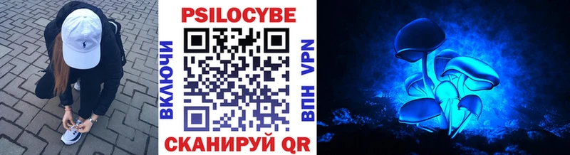 mega онион  Комсомольск  Псилоцибиновые грибы мицелий  купить закладку 